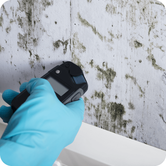 mould img 1-min
